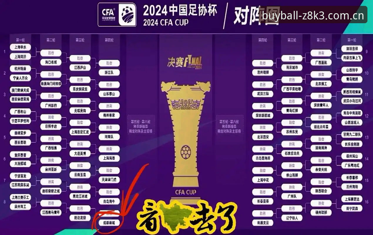 中国足协最新禁足名单解读指南：在买球APP平台追踪行业整顿动态